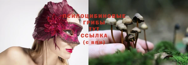 гидра Беломорск