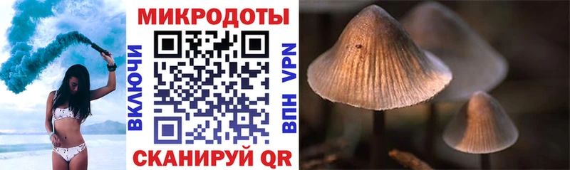 Псилоцибиновые грибы Psilocybine cubensis  купить   Покровск 